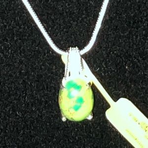NWT Mojave Green Turquoise Egg Necklace